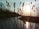 Greifswald
Sonnenuntergang am Greifswalder Ryck<br />
Ästuar/Lagune/Fjord, Küstenlandschaft, Öffentlicher Bereich/Strand, Geographie - Gemäßigt
Heike Neumann